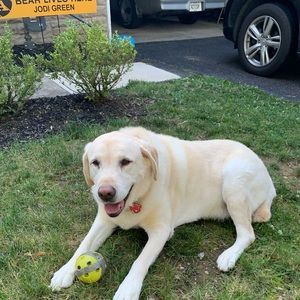 Meet your Posher, Jodi